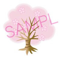 桜のイラスト