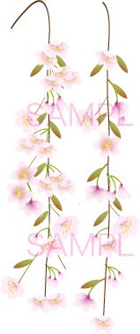 桜のイラスト
