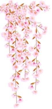 桜のイラスト